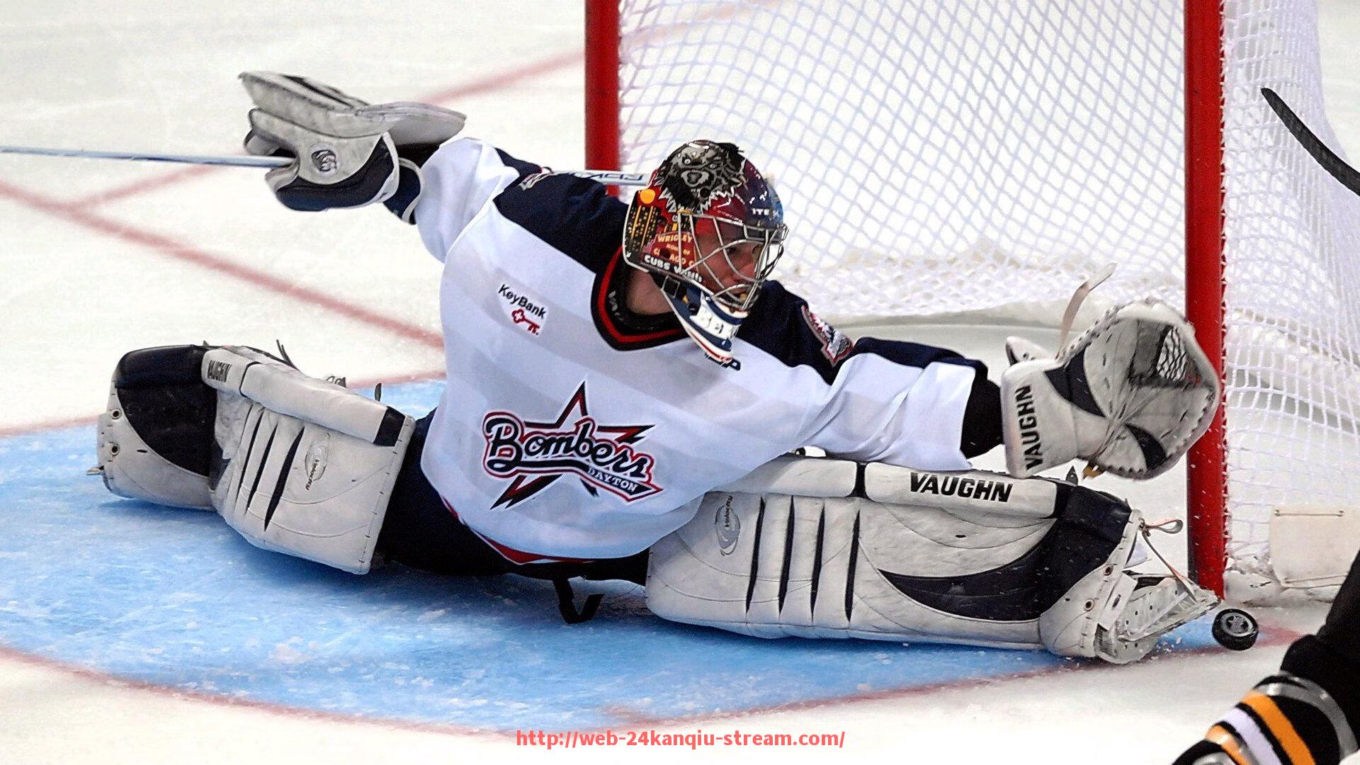 24看球直播网-广州健身器材有限公司详细介绍：专业的设备供应商与服务